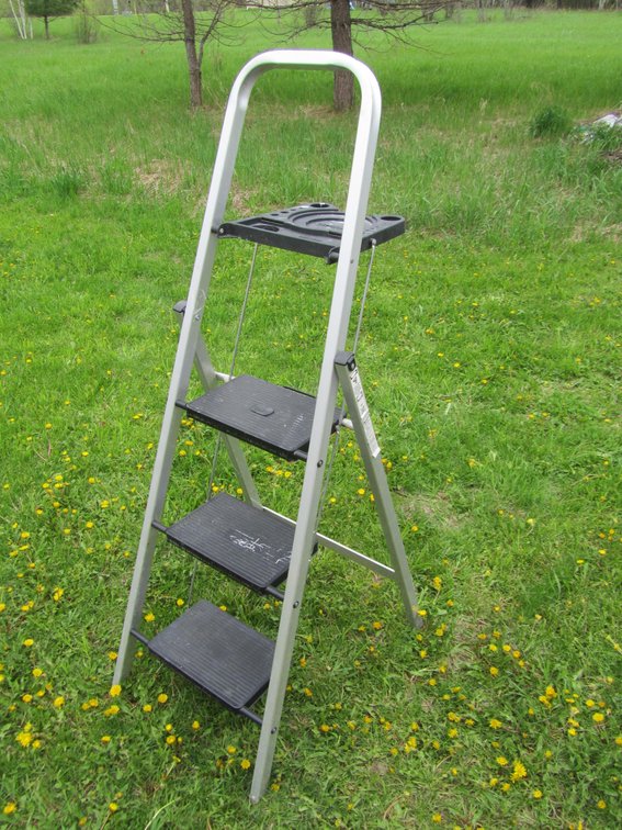 Tricam 4' Ladder
