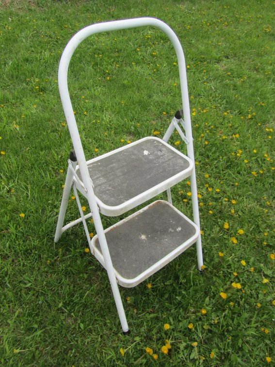 2' Step Ladder