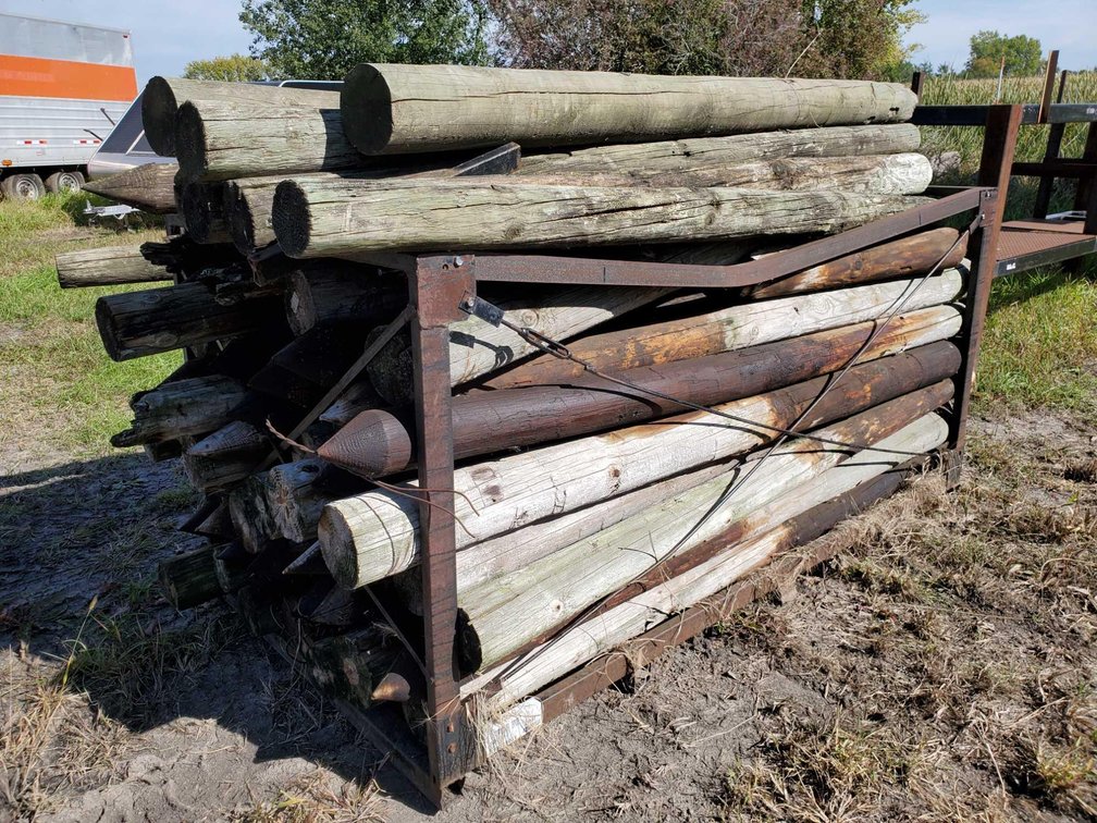 50 PLUS TREATED FENCE POSTS