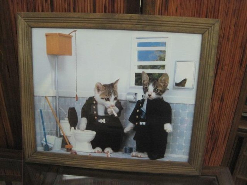 Framed Cats in Bathroom print 23" w x 19" t