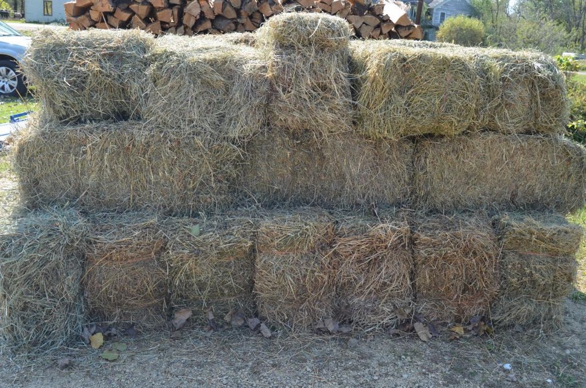 (30) SMALL SQUARES OF HAY