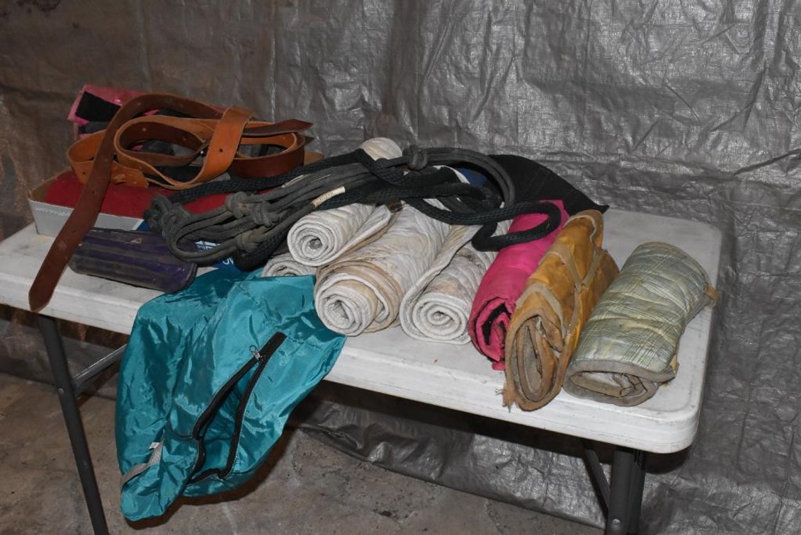 ASSORTMENT USED HORSE POLO WRAPS AND LEG GEAR AND LEATHER STRAPS AND SHIPPING HALTER
