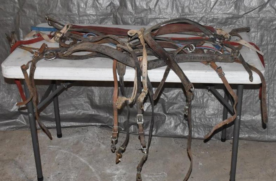 ASSORTMENT OF 7 BREAST COLLARS