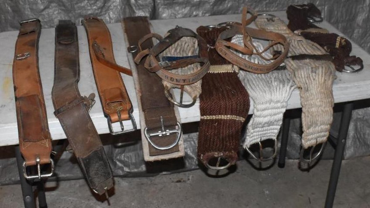 USED CINCHES (FRONT AND BACK) AND NOSE BANDS