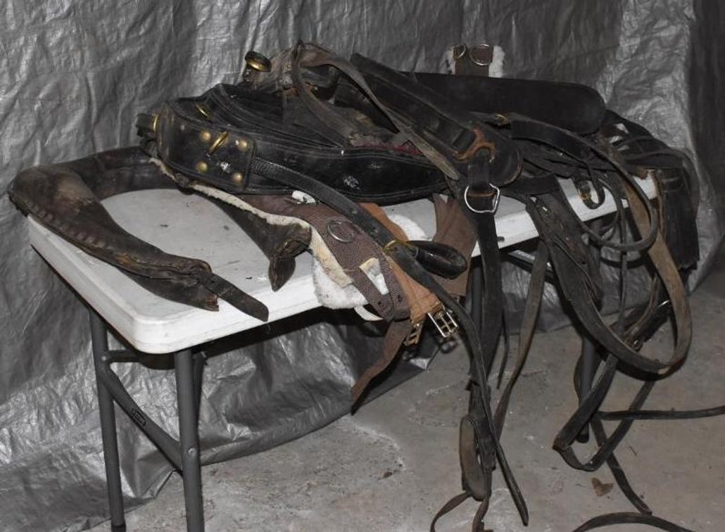LEATHER DRIVING HARNESS PARTS AND COLLAR
