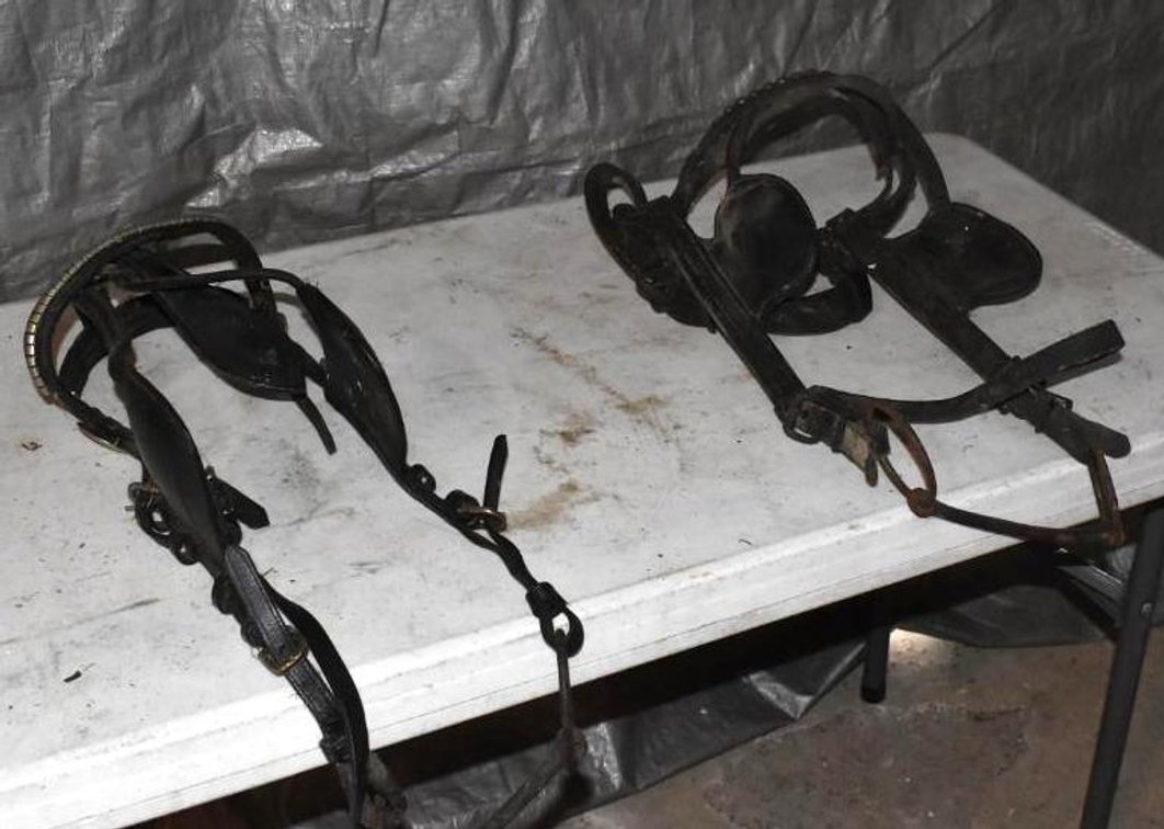 (2) LEATHER DRIVING HORSE BRIDDLES WITH BITS