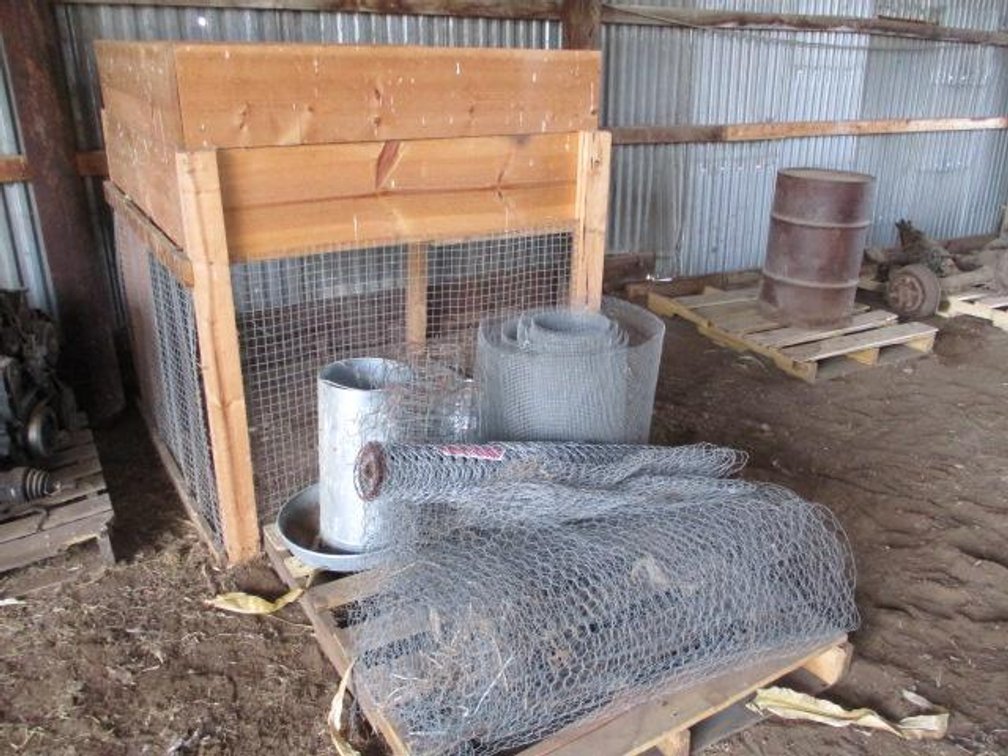 Chicken Wire, Cage, Feeders
