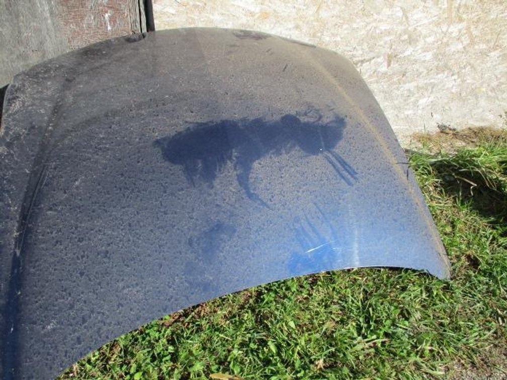 2001 Buick Regal Hood
