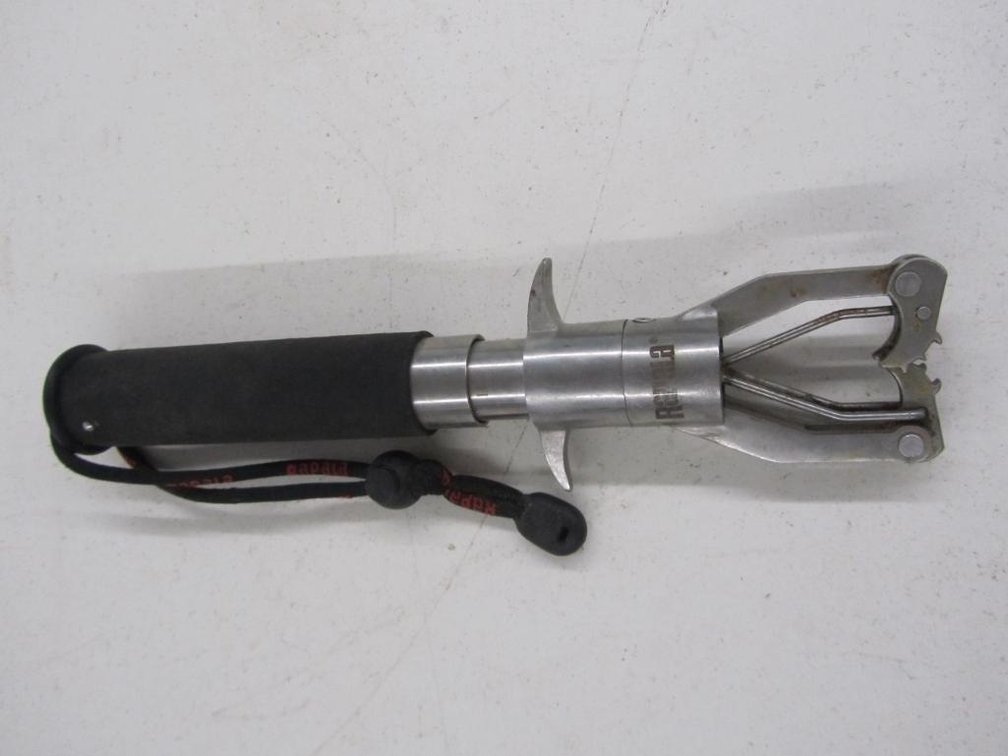 Rapala Fish Scale