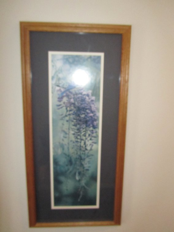  Bird Print