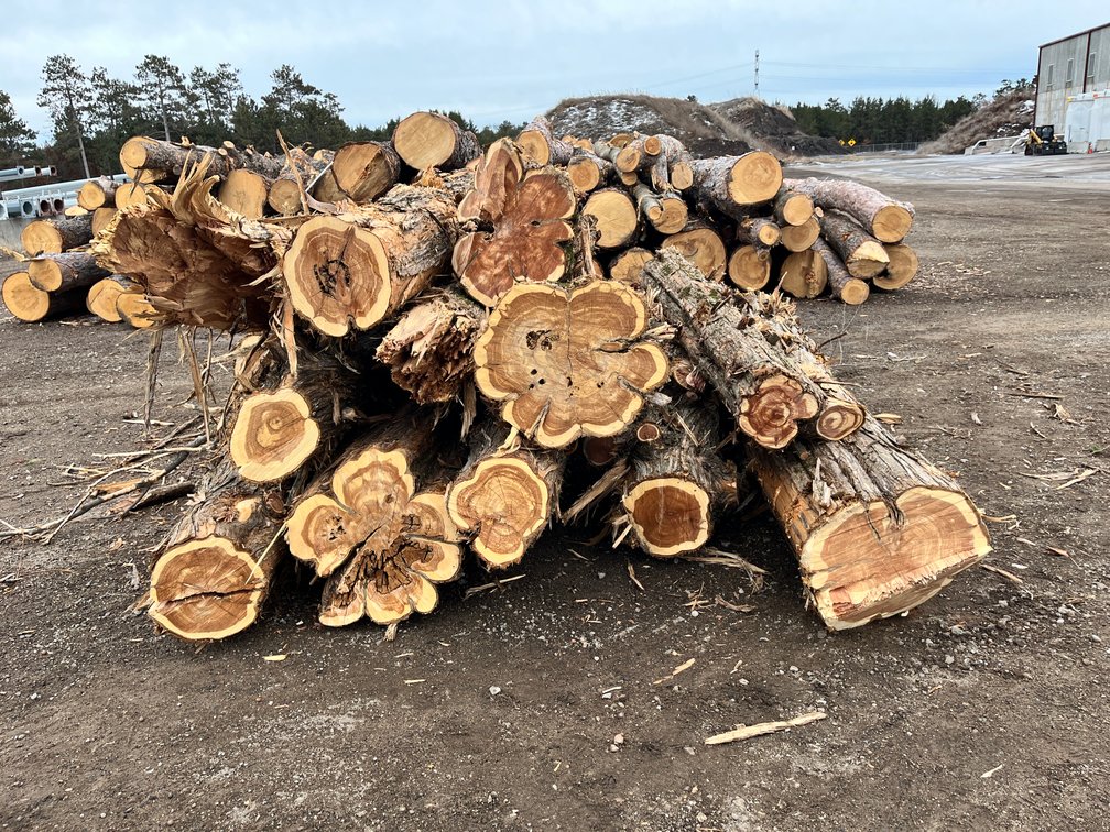 Fire Wood & Lumber Logs (136182)