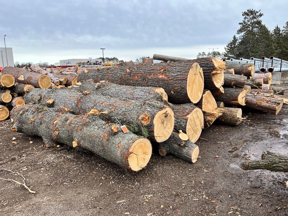 Fire Wood & Lumber Logs (136182)