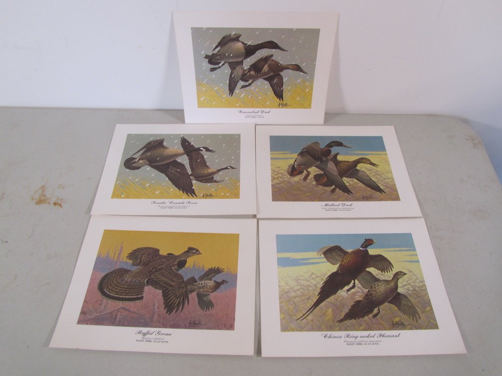 Set Of (5) Les C. Kouba Prints