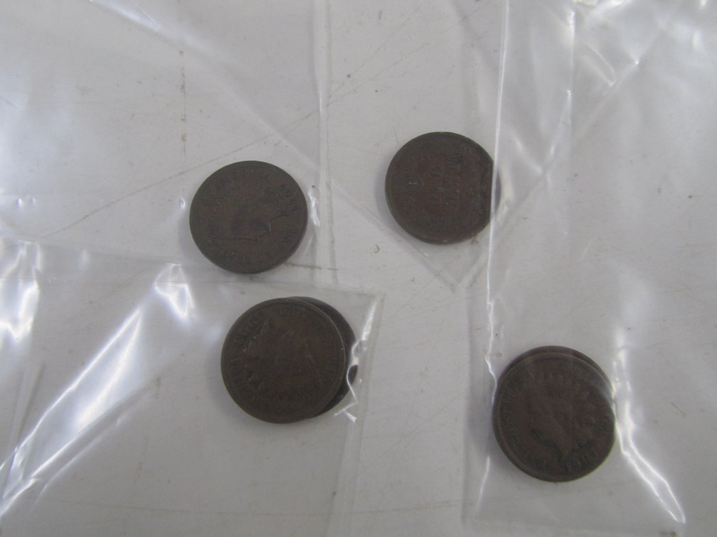 (6) Indian Head Pennies