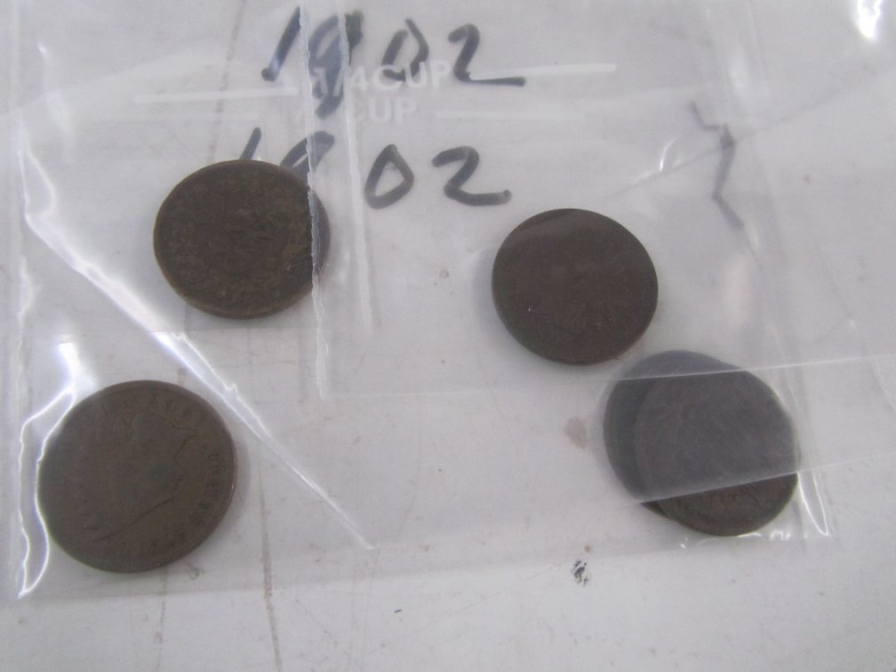 (5) Indian Head Pennies