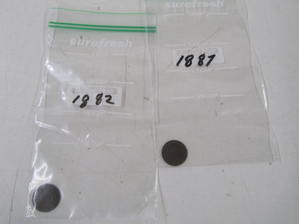 (2) Indian Head Pennies