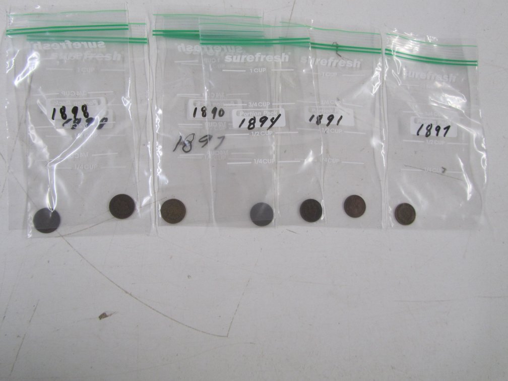 (7) Indian Head Pennies