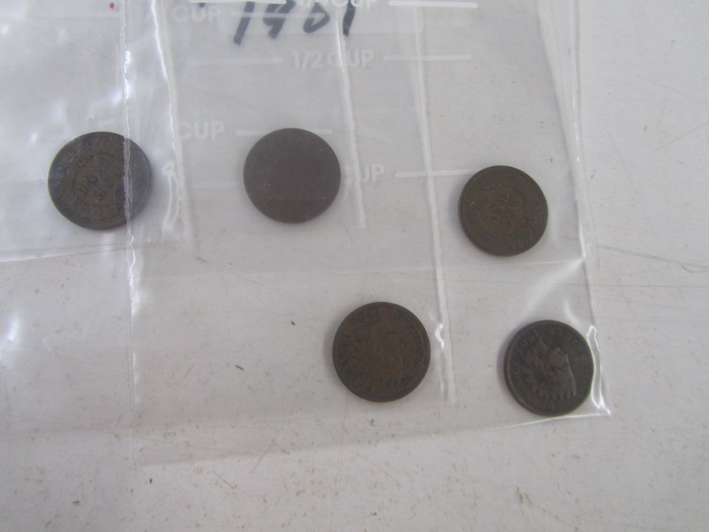 (5) Indian Head Pennies