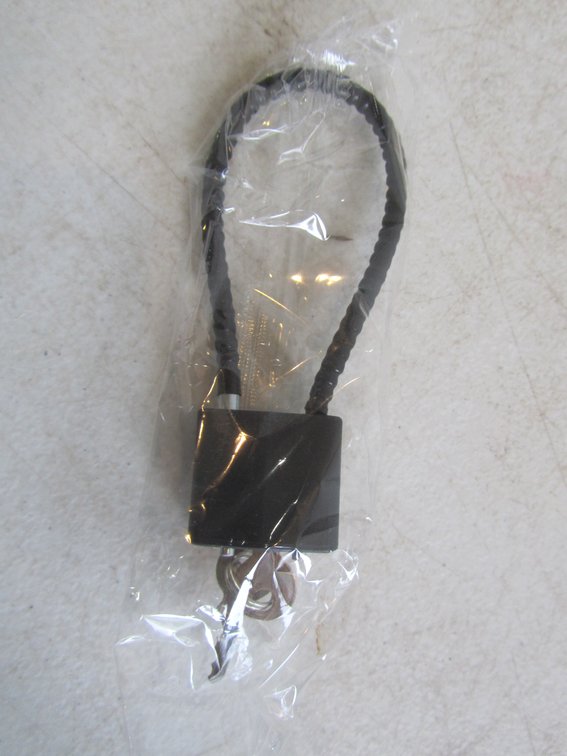 30mm Gun Lock w/Key