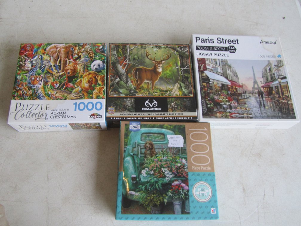   (4) 1,000 Piece Puzzles