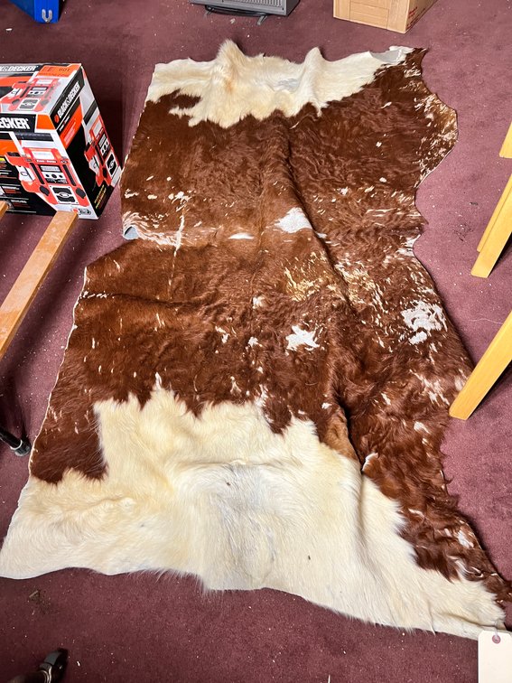 Animal Hide