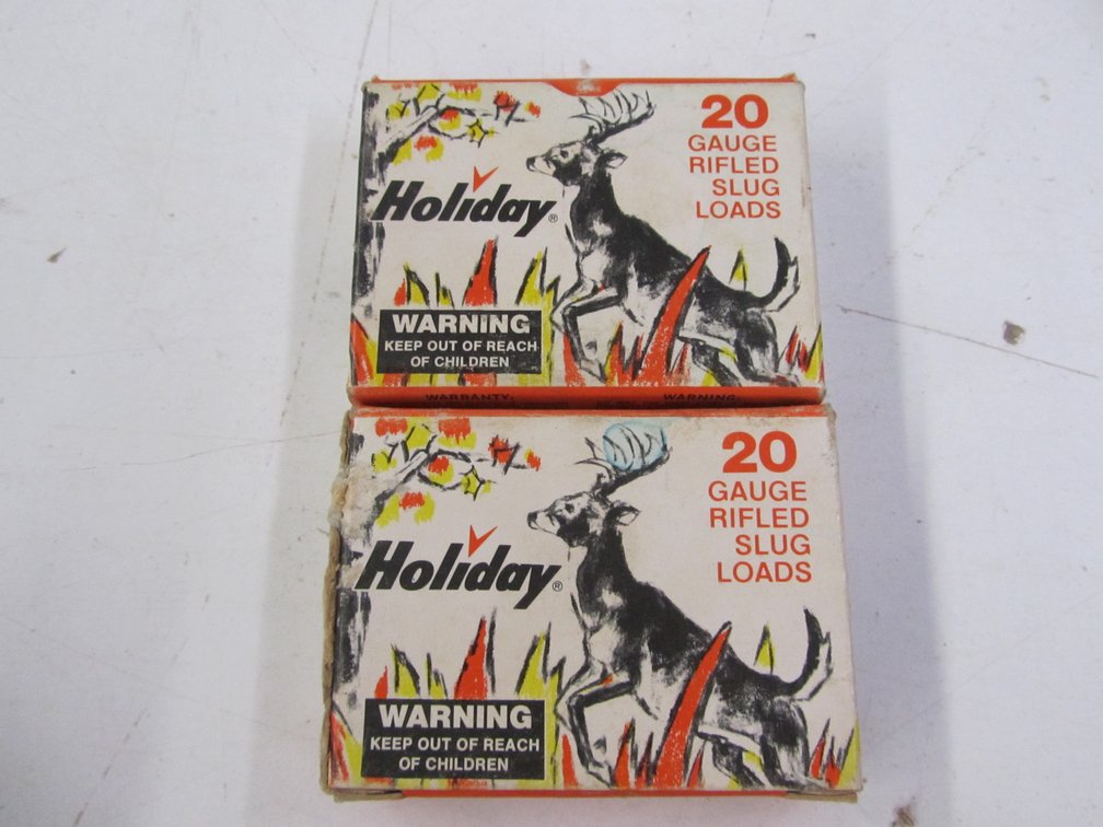 (10) 20 Gauge Rifled Slug Loads