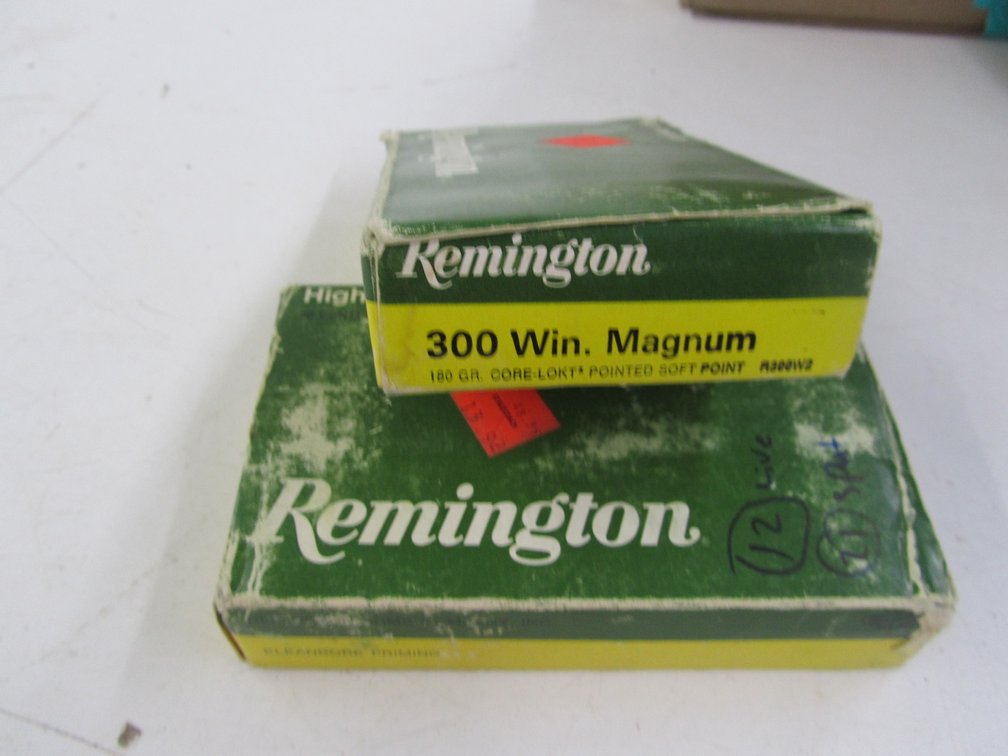 (12) 300 Win. Magnum Rounds 
