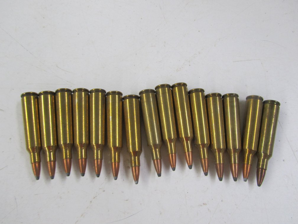 (17) 22-250 Rounds 