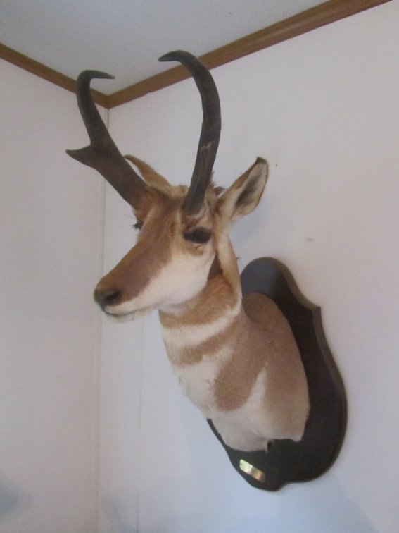 Bob Kimball Moving Auction, Pequot Lakes, MN (145767)