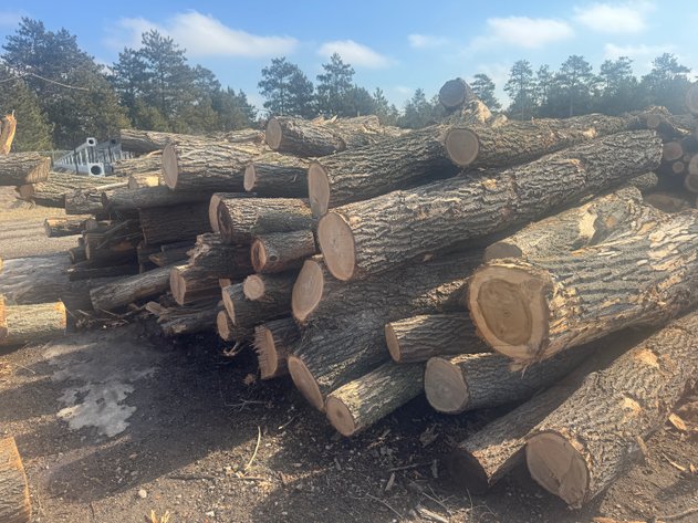 Image for Fire Wood and Lumber Logs (158003)