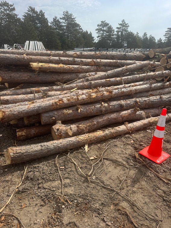 Fire Wood and Lumber Logs (159543)