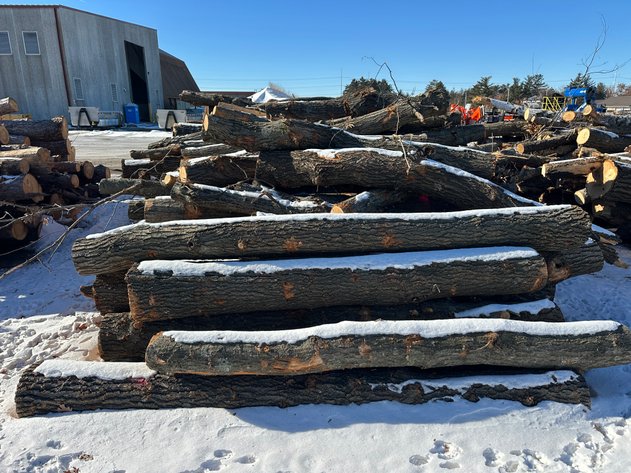 Image for Fire Wood and Lumber Logs (156023)