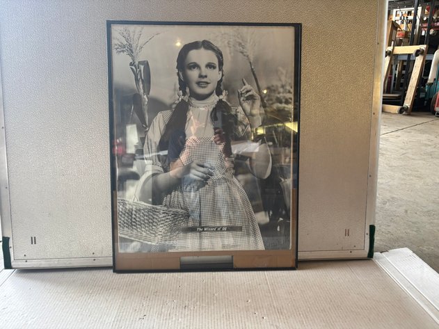 Image for The Wizard of Oz Collector’s Collection (156120)