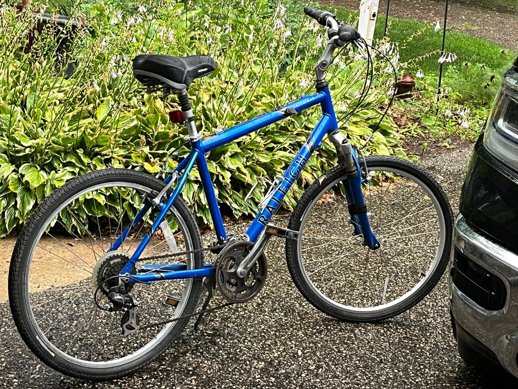 Raleigh LG 20" Venture 3.0 Bicycle