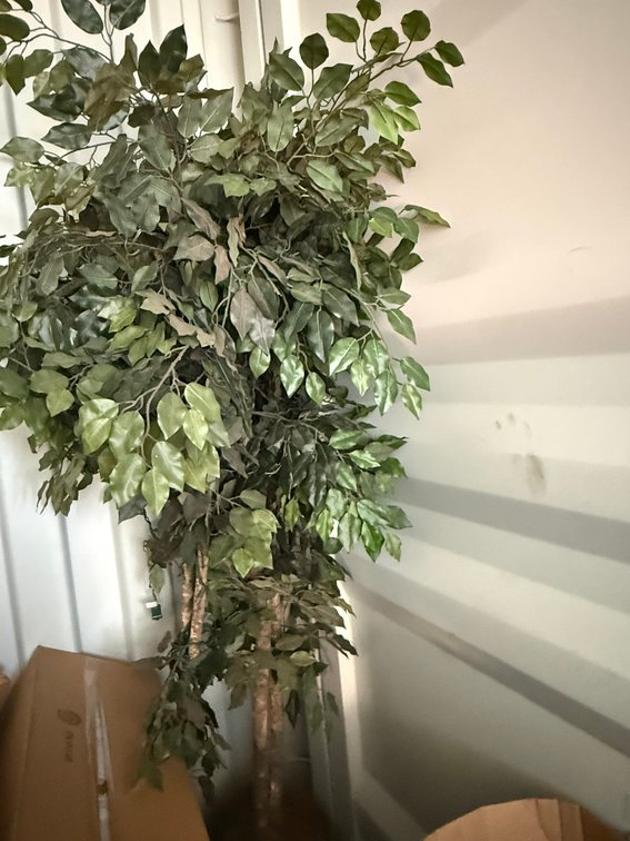 (2) Artificial Trees