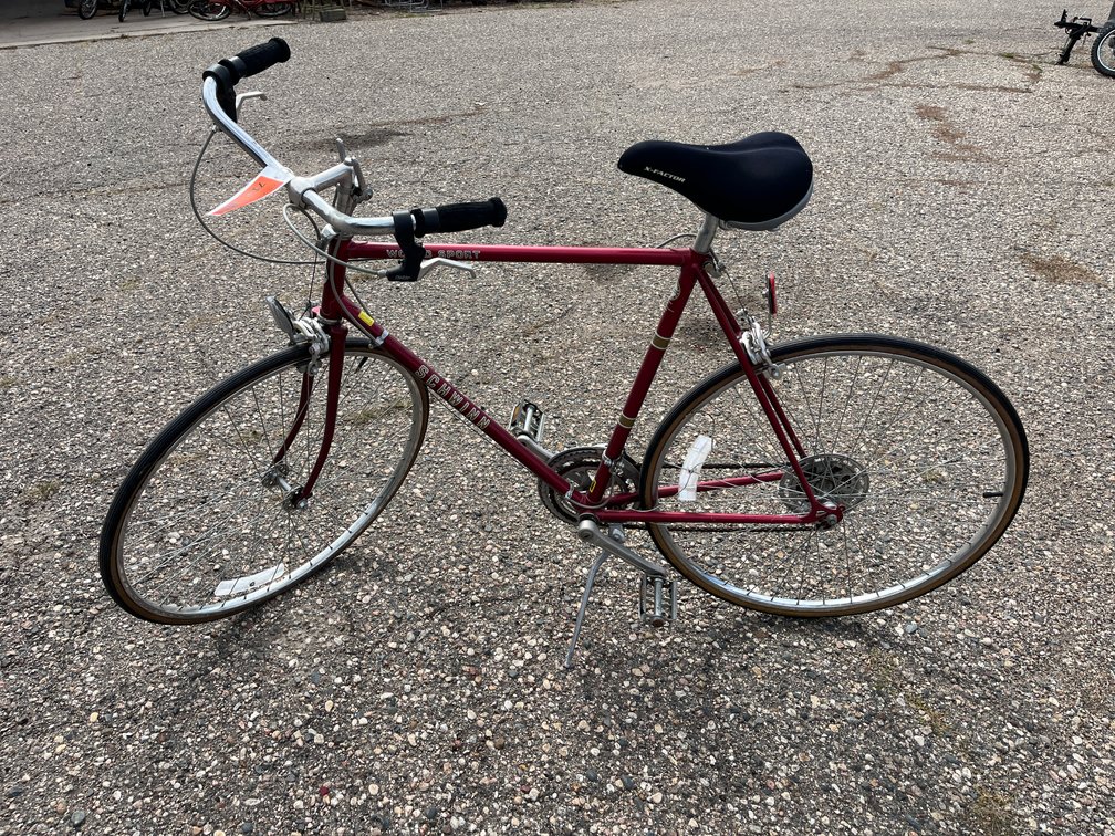 Schwinn World Sport Bicycle