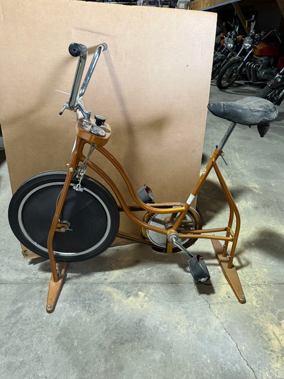 Schwinn Exercise Bike