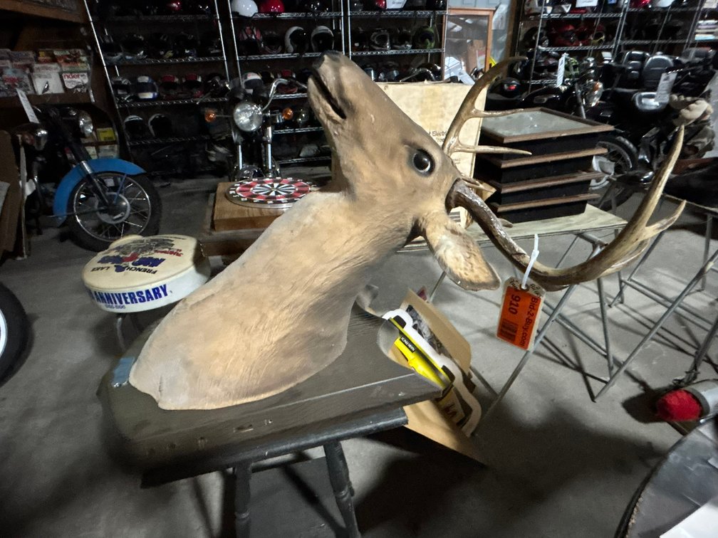 (2) Buck Head Mounts and Wood Stand