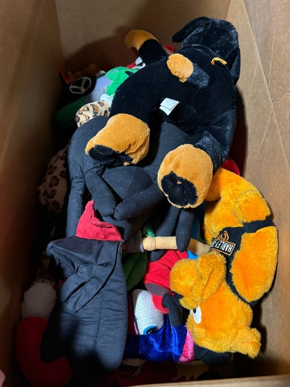 Large Stuffed Animal Dog and Box of Assorted Stuffed Animals