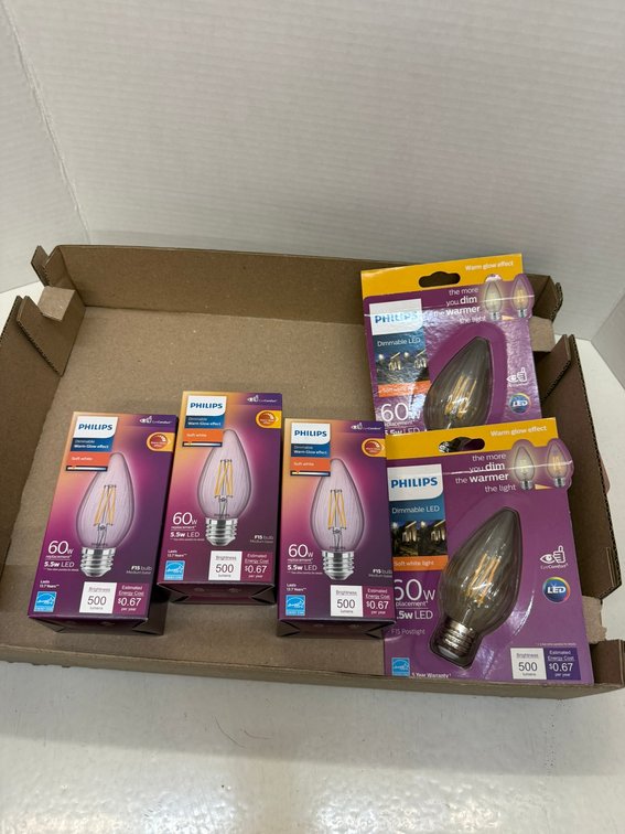 (5) Philips 60W F15 Bulb