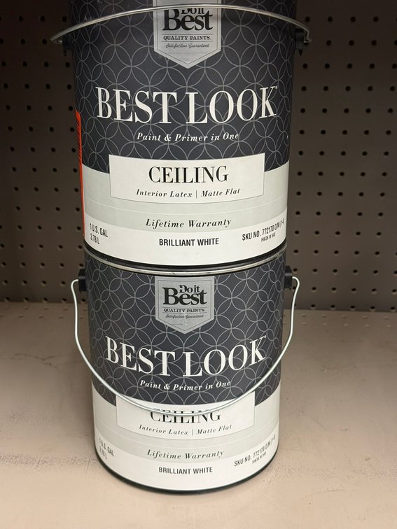 (2) Do It Best Best Look Paint and Primer in One Ceiling