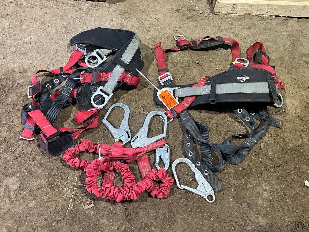 (3) Harnesses