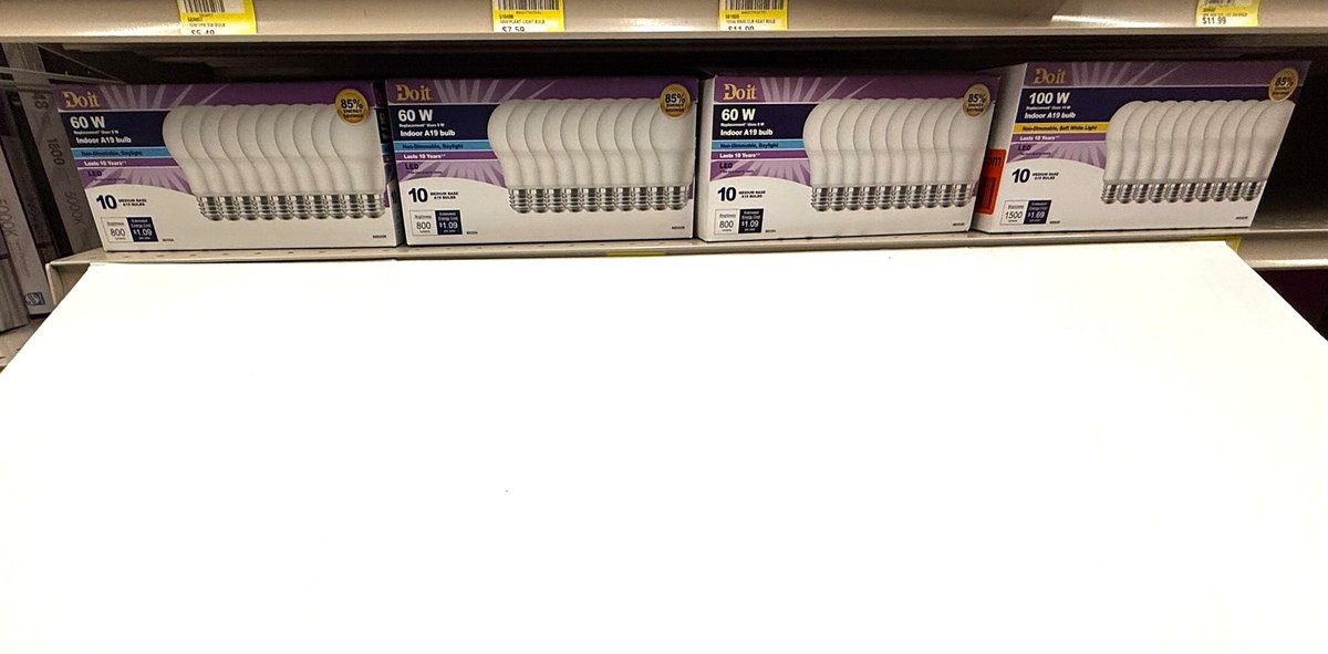 (4) Indoor A19 Bulb