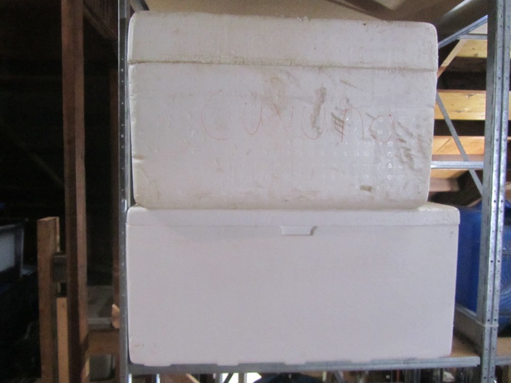 (2) Styrofoam Containers