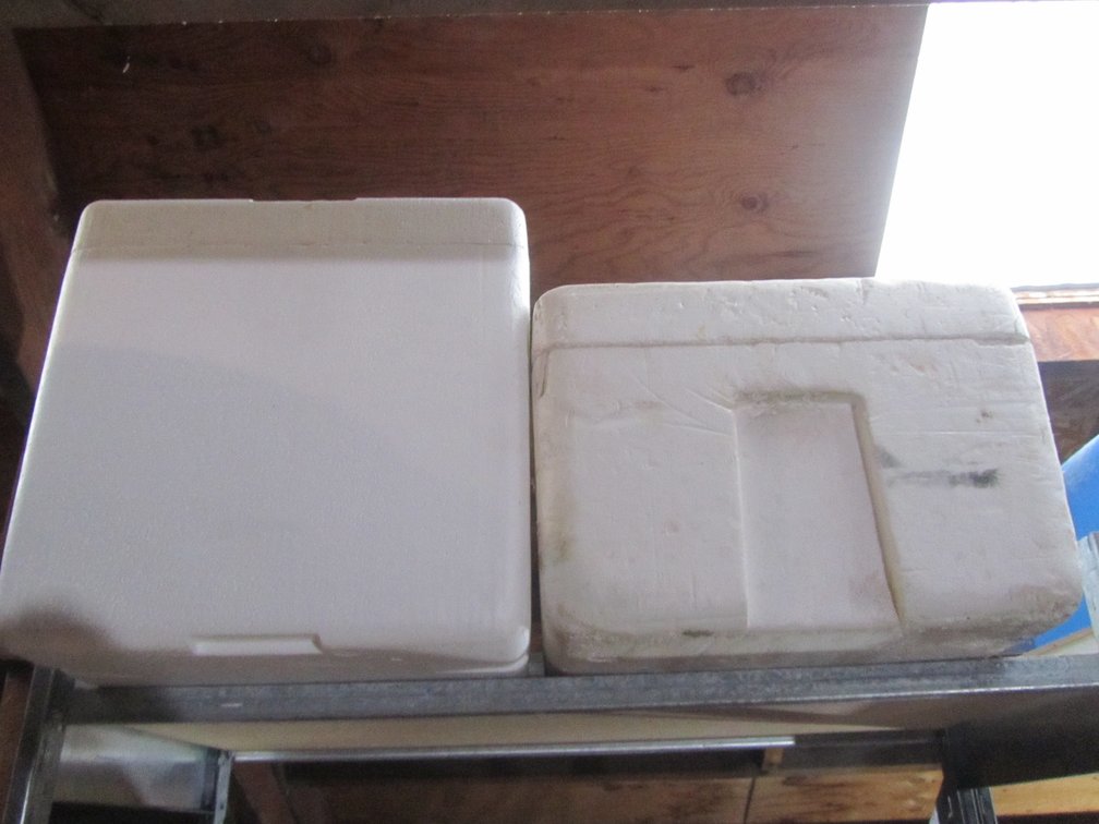 (2) Styrofoam Containers