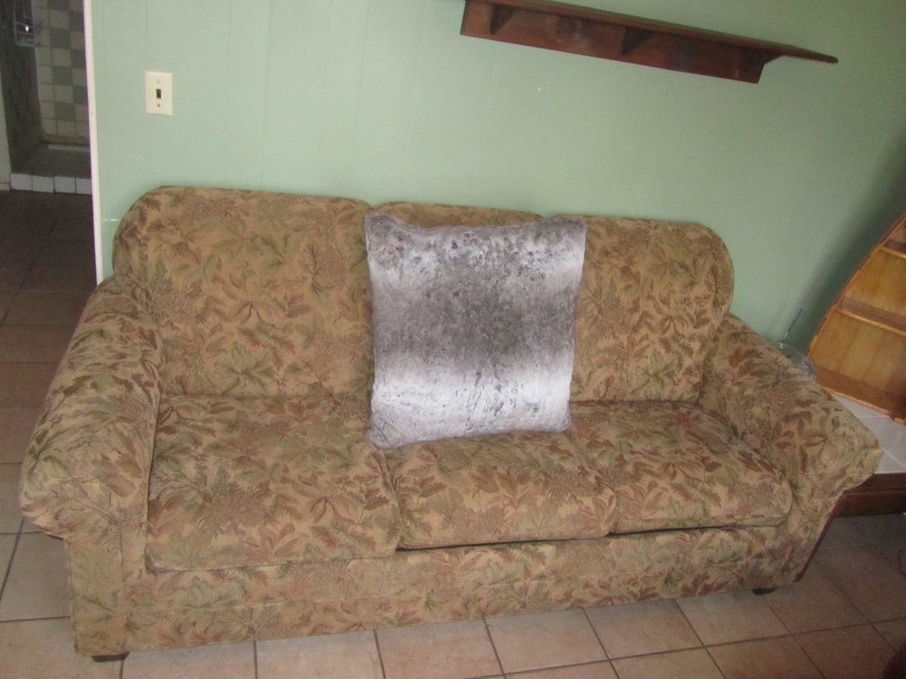 Hide-A-Bed Couch