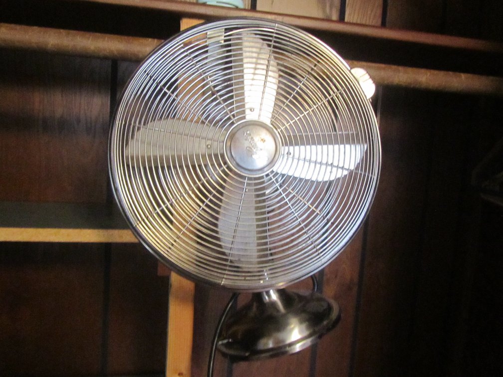 Hunter 12" Oscillating Fan