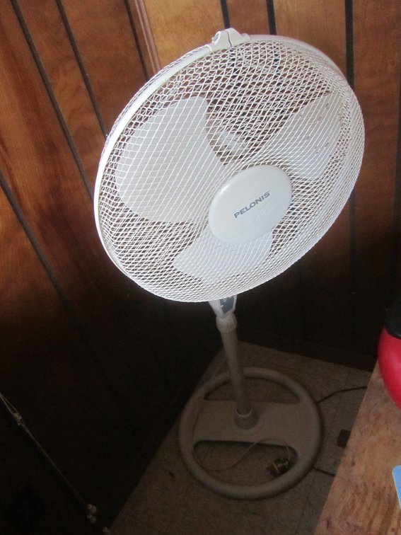 Pelonis Oscillating Fan
