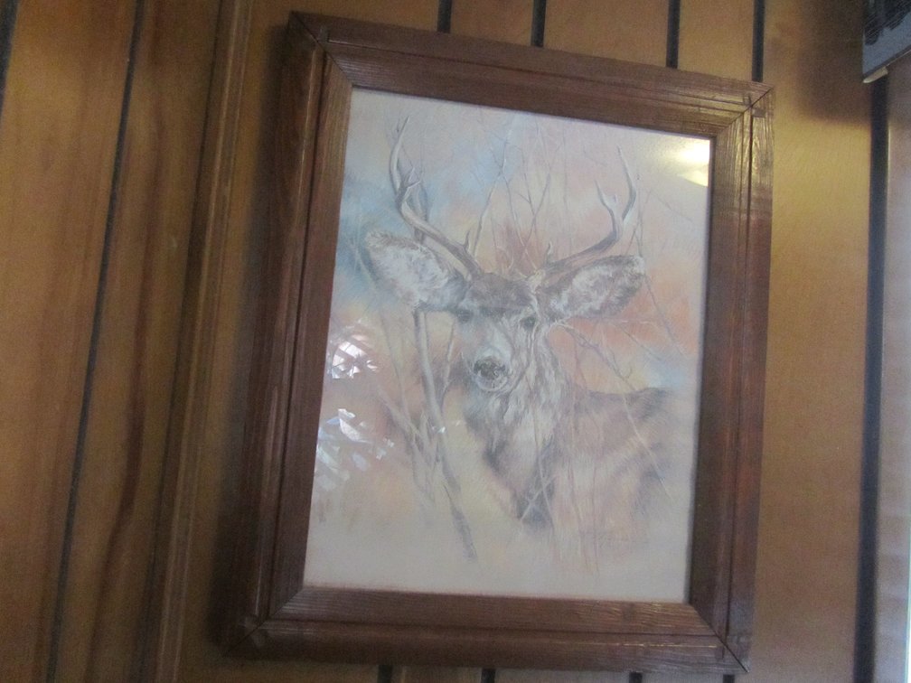 Whitetail Buck By K.Maroon