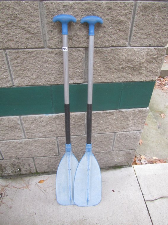 Pair Of Paddles